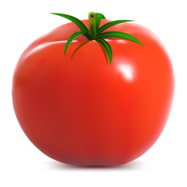 Big ripe tomato clipart