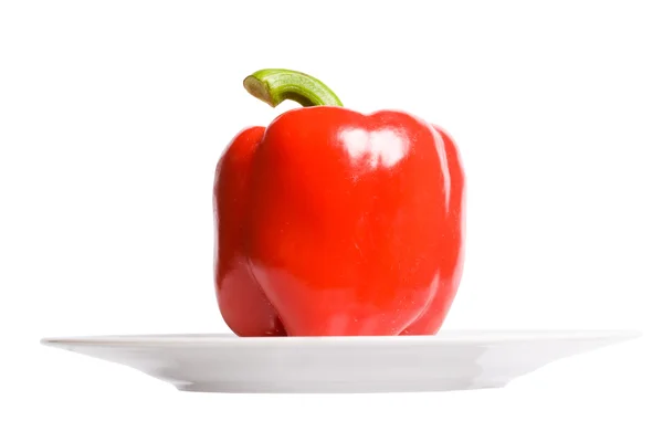 Roter Paprika auf weißem Teller — Stockfoto