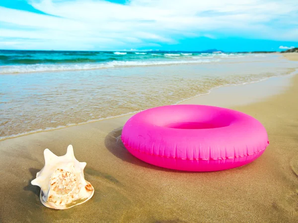 Seashell e tubo — Foto Stock