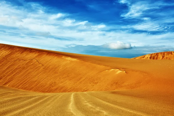 사막 — 스톡 사진