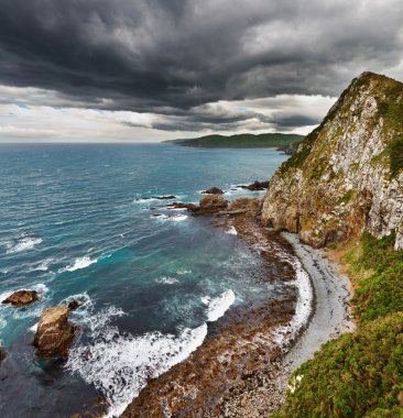 Coastal view, New Zealand clipart