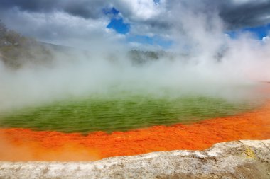 Hot thermal spring, New Zealand clipart