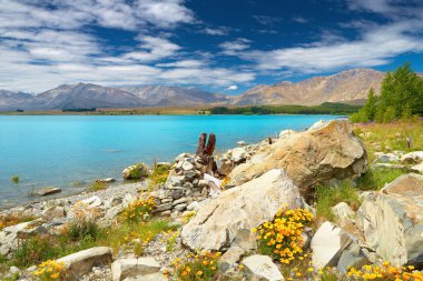 Lake Tekapo, New Zealand clipart