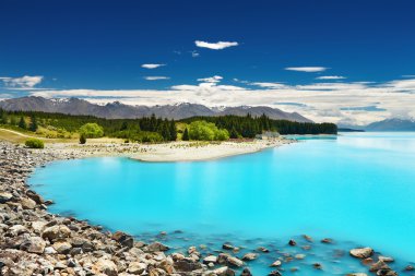 Lake Pukaki, New Zealand clipart