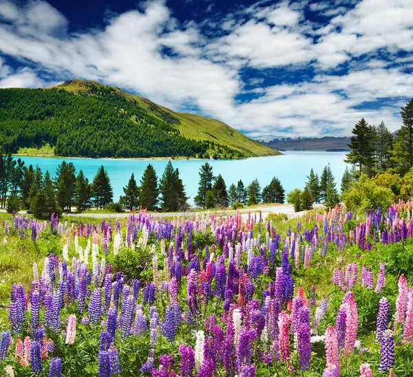 Lago Tekapo, Nueva Zelanda — Foto de Stock