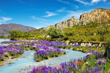 Clay Cliffs Scenic Reserve, New Zealand clipart