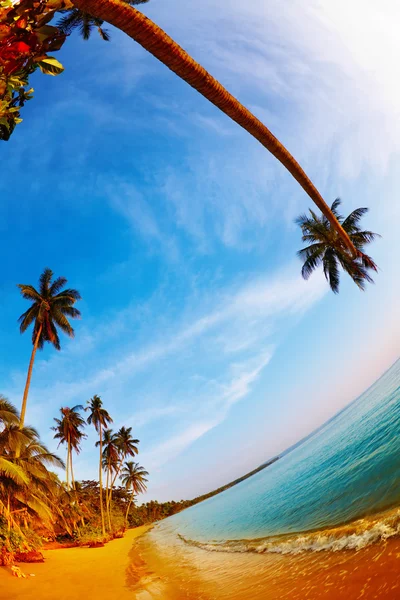 Tropisk strand, thailand — Stockfoto