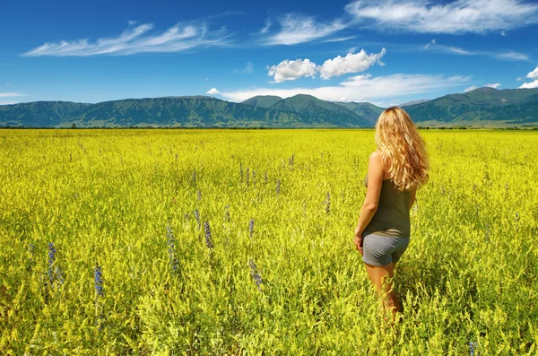 stock image Girl in blooming field