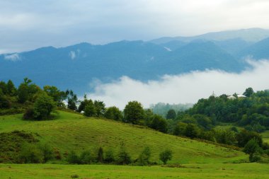 dağlar ve sis peyzaj Manzaralı