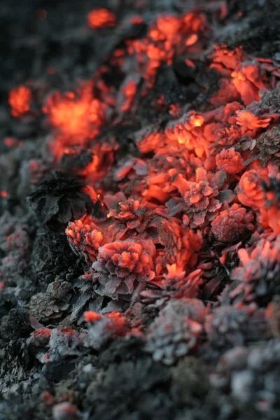 Smolder van kolen — Stockfoto