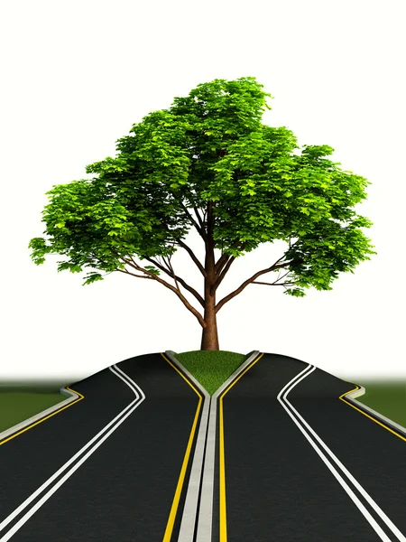 Yolun ortasında ağaç — Stok fotoğraf