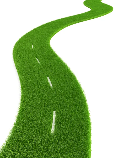 Carretera cubierta de hierba —  Fotos de Stock