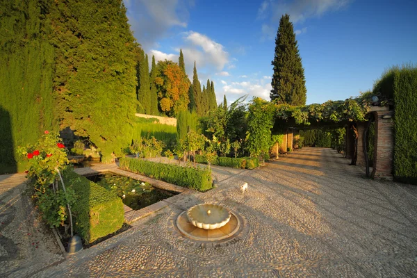 アルハンブラ宮殿の庭園、グラナダ、スペイン — ストック写真