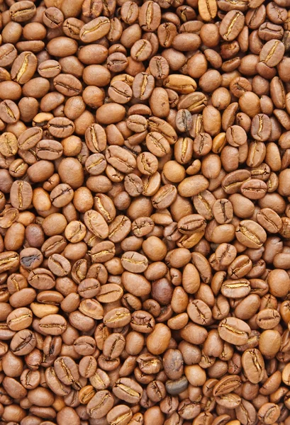 Coffee grains — Stock Photo, Image