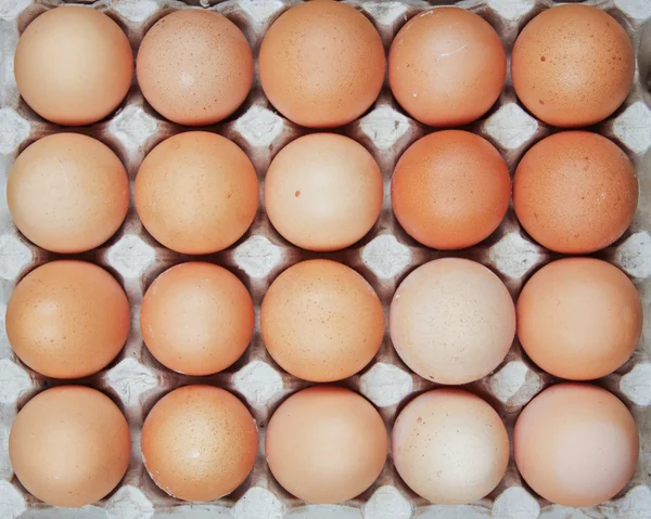 stock image Eggs
