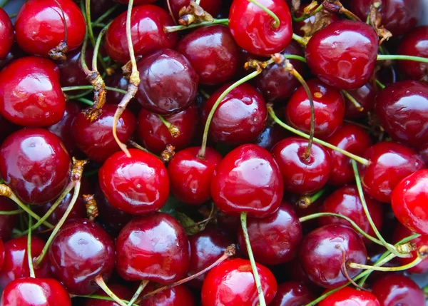 stock image Cherry