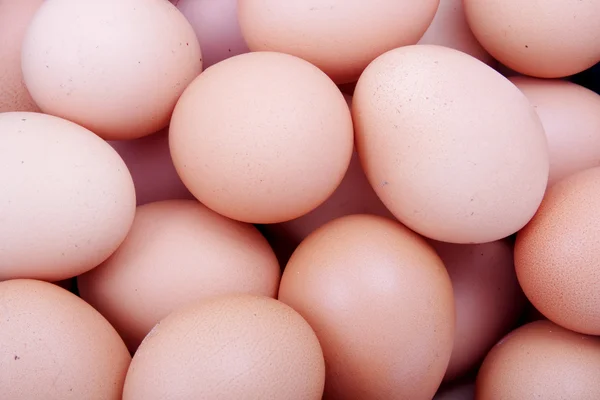 Close up abstract eggs background — Stock Photo, Image
