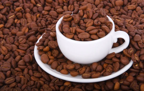 커피, 커피 곡물에 비용이 작은 컵 — 스톡 사진