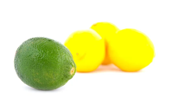 Zestaw jednej limonki i cytryny trzy — Zdjęcie stockowe