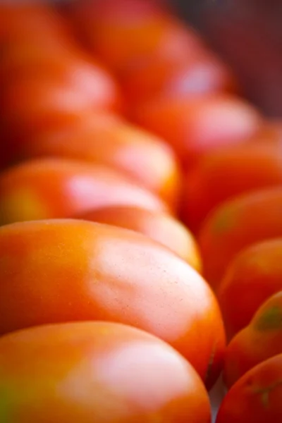 Alimentos crus de tomate vegetal — Fotografia de Stock