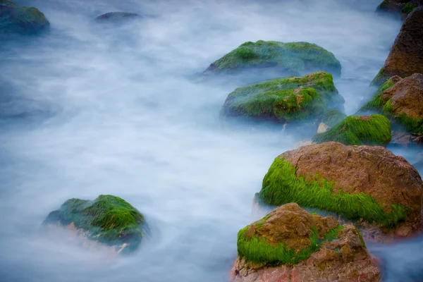 stock image Coast