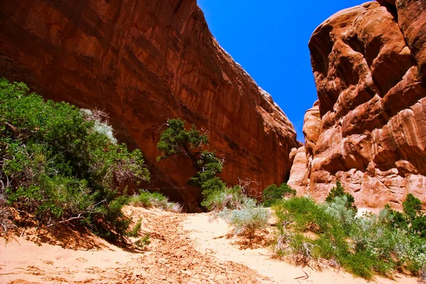 Ad Arches Canyon — Foto Stock