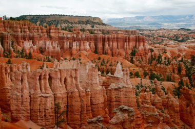 Bryce canyon