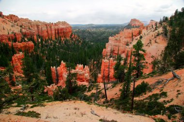 Bryce canyon