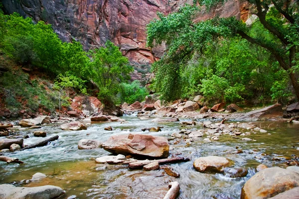 Rivier in zion canyon — Stockfoto