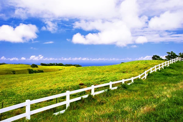 Landscape of Hawaii — Stock Photo, Image