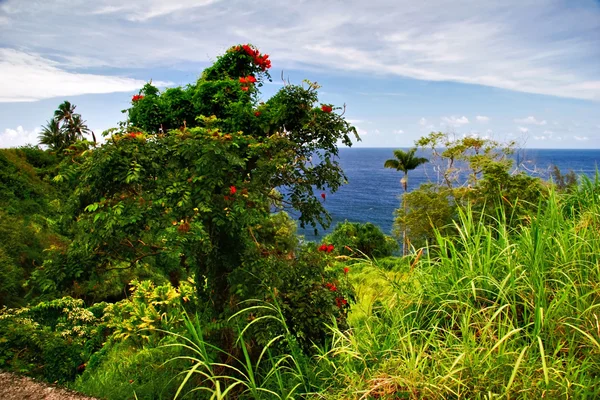 Krajobraz z Hawajów — Zdjęcie stockowe