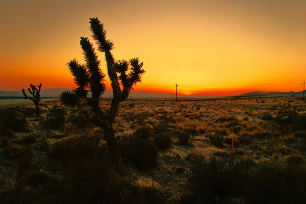 Solnedgång i Kalifornien — Stockfoto