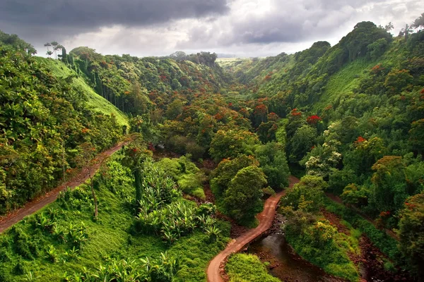 Paisaje de Hawaii — Foto de Stock