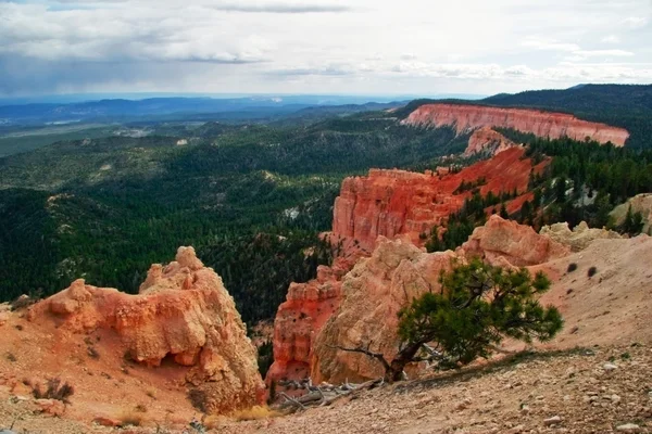 In Bryce canyon — Stock Photo, Image