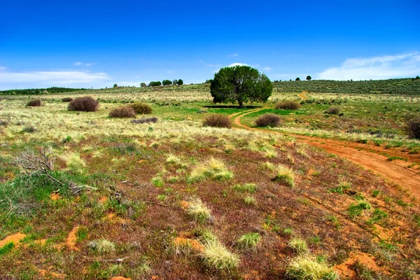 Landskapet i västra — Stockfoto