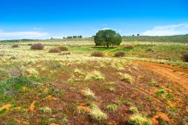 Landskapet i västra — Stockfoto