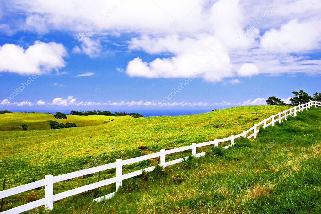 Landscape of Hawaii
