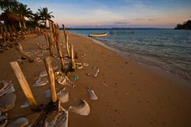 Tropicsl beach