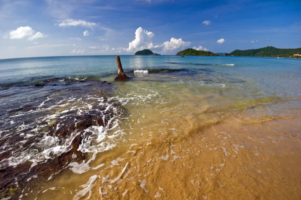 Tropicsl beach — Stockfoto