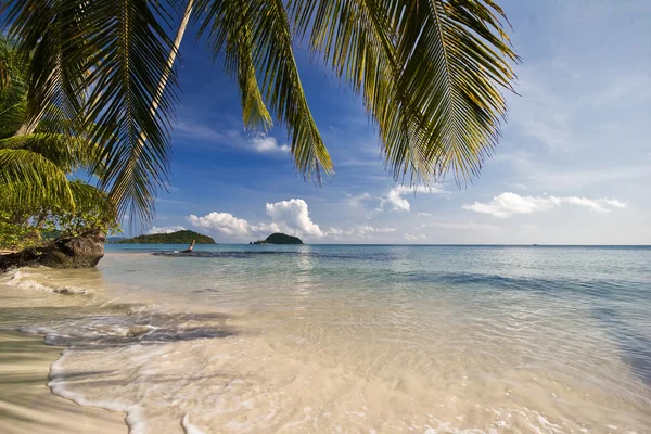 Praia tropical — Fotografia de Stock