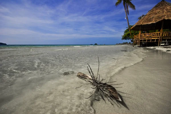 Playa de Tropicsl —  Fotos de Stock