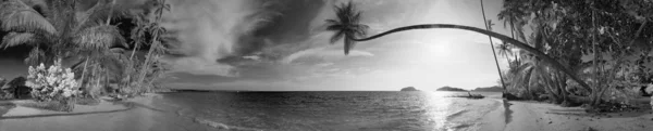 Tropicsl пляж — стокове фото