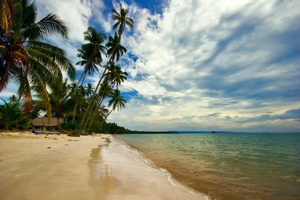 Tropicsl plaży — Zdjęcie stockowe