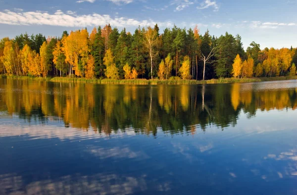 Autumnal lake — Stock Photo, Image