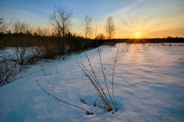 Pôr do sol no campo de inverno . — Fotografia de Stock