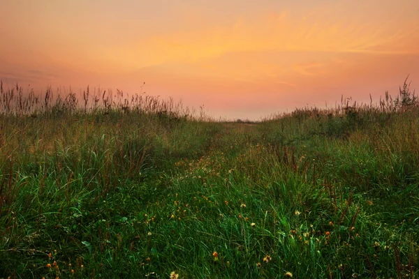 Закат в поле — стоковое фото