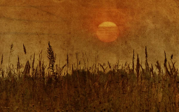 Puesta de sol en el campo — Foto de Stock
