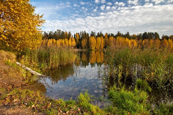 Сонячний autumnal озеро — стокове фото