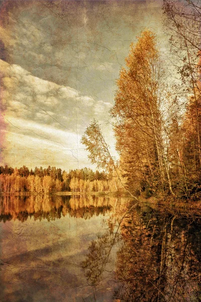 Árvore e lago — Fotografia de Stock
