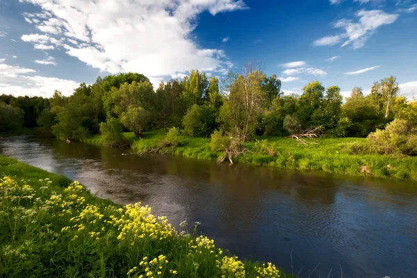 Small river under blue sky. — Stock Photo, Image